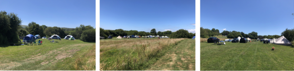 A collage showing various tents, campervans, and cars parked in a wide grassy meadow at Ditchling Camping under a clear blue sky