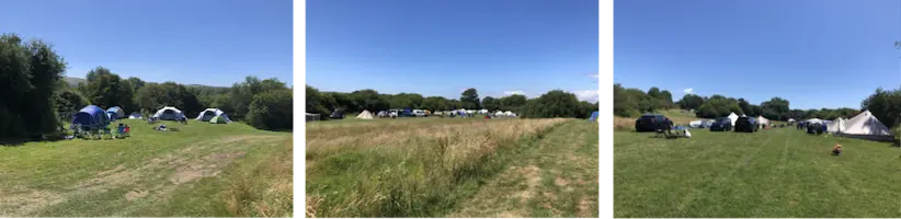 A collage showing various tents, campervans, and cars parked in a wide grassy meadow at Ditchling Camping under a clear blue sky
