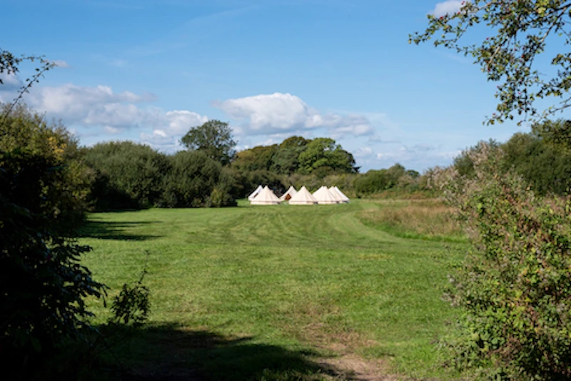 Distant view of a group camping area with bell tents nestled in a secluded Sussex meadow.