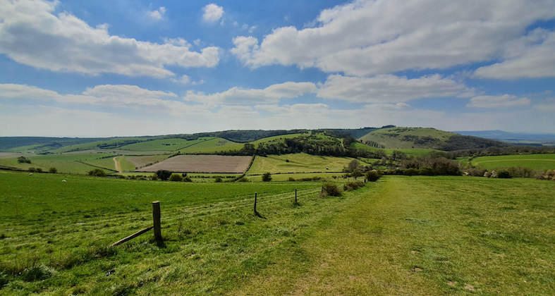 Scenic landscape of the South Downs Way featuring vibrant green meadows and hills. A grassy path in the foreground is lined by a simple wooden post-and-wire fence, leading the eye toward the distant valleys and hills of the English countryside as a route to Eco Friendly Camping in the South Downs