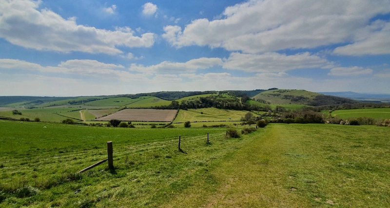 Rolling green hills of the South Downs Way near Ditchling Camping, East Sussex.