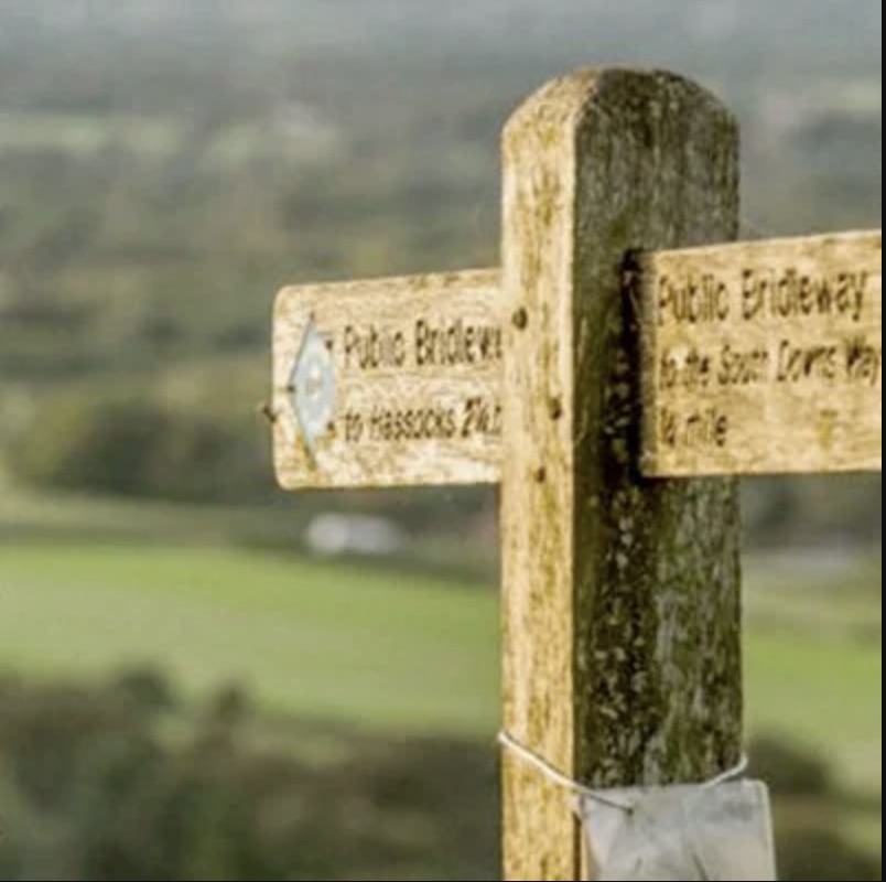 A scenic view of the rolling green hills and grassy footpaths of the South Downs Way under a clear blue sky