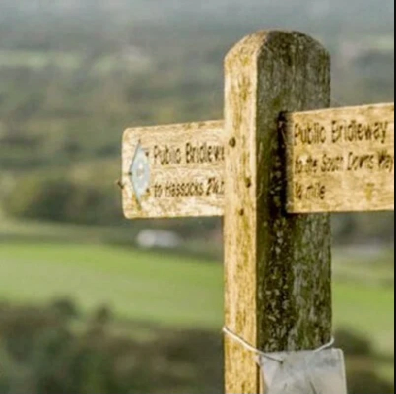 A scenic view of the rolling green hills and grassy footpaths of the South Downs Way under a clear blue sky