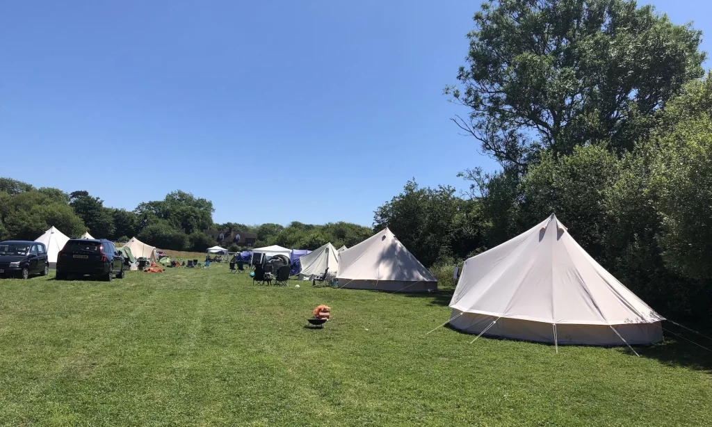 Wild camping meadow at Ditchling Camping featuring spacious grass pitches for tents and campervans under a clear blue sky